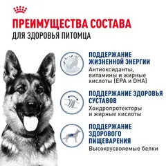 Royal Canin Maxi Ageing 8+ сухой корм для стареющих собак крупных пород 3 кг