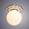 Светильник Divinare Perla 5007/21 PL-1
