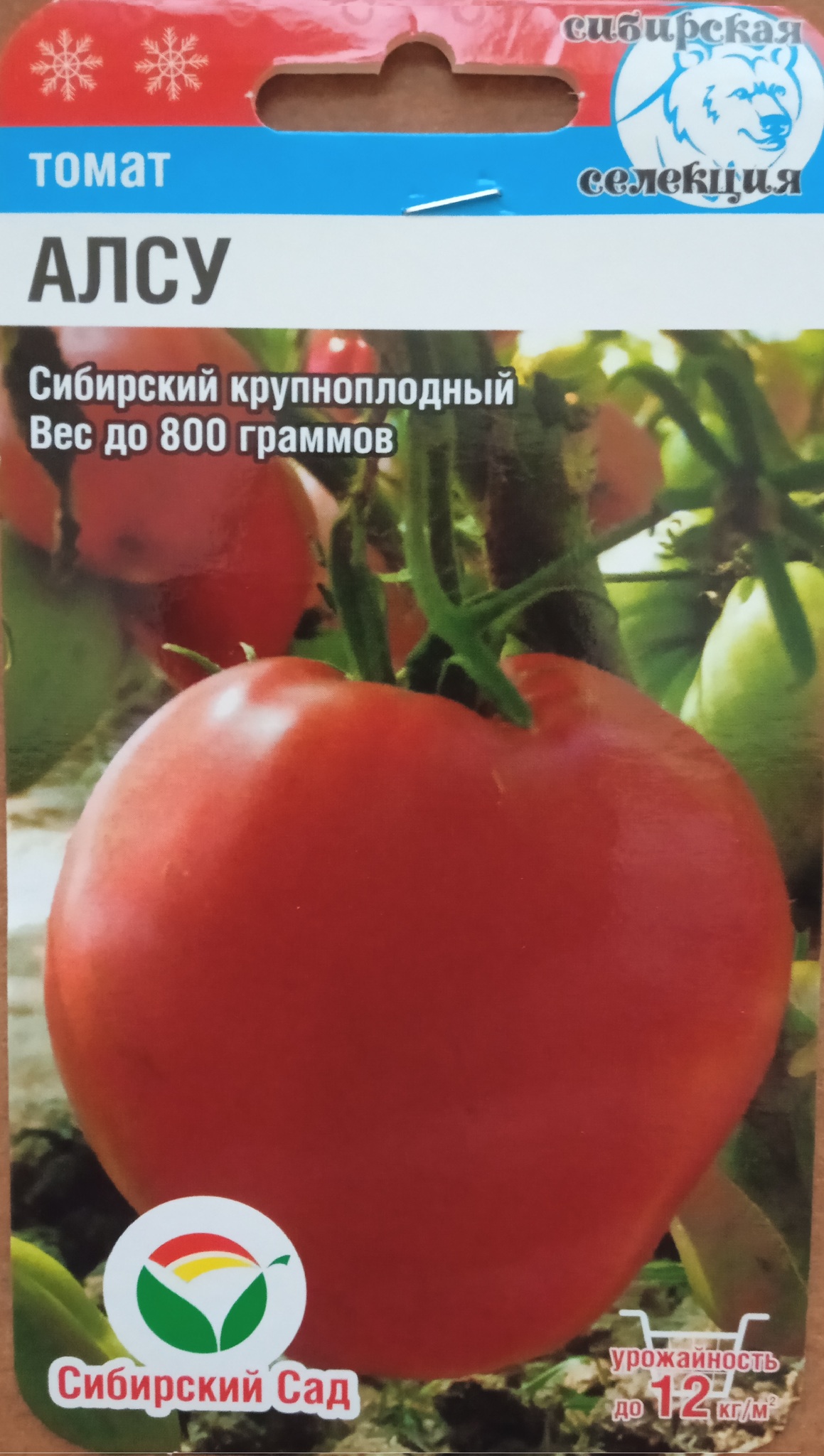 Семена томат Алсу