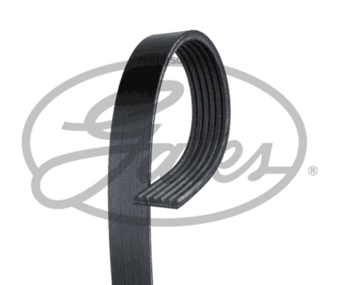 Ремень ручейковый GATES   6 PK  1210