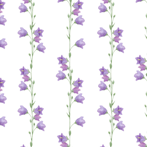 цветок Колокольчик Реверанс (персиколистный, белоснежный) . Евро, 0,05