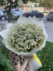 Букет цветов Монобукет полевых ромашек