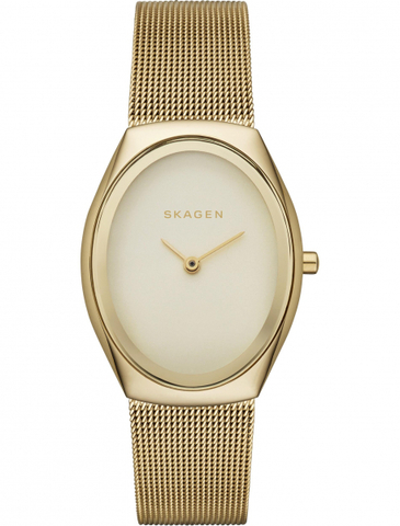 Наручные часы Skagen SKW2298 фото