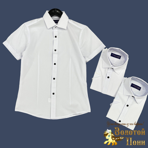 Рубашка на кнопках мальчику (7-14) 230512-ШК540