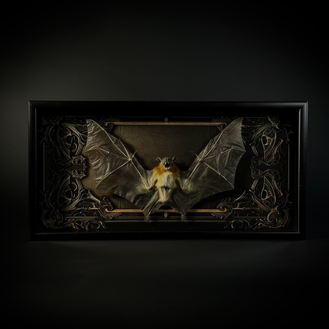 Летучая мышь