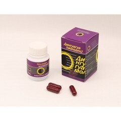 МОЛОДЕЦ (ДИНГУАГУА)