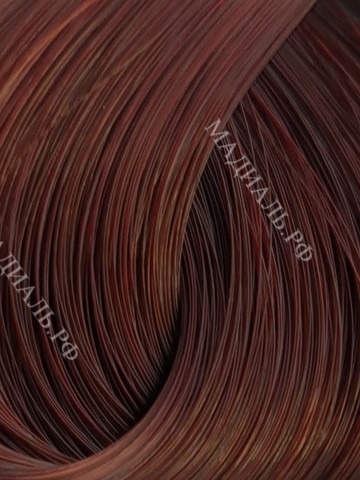 Schwarzkopf  IGORA ROYAL  Absolute 6-80 Темный русый красный натуральный 60 мл