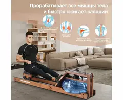 Гребной тренажер DFC RUNOW Brown Wood