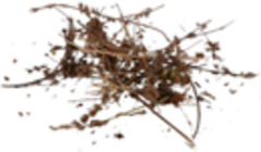 Леспедеца даурская (лист+стебель, 50 гр.) (Старослав)