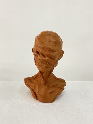 Deformation. Bust #6