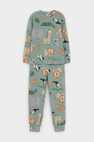 пижама  для мальчика  К 1552/холодная мята,веселый зоопарк