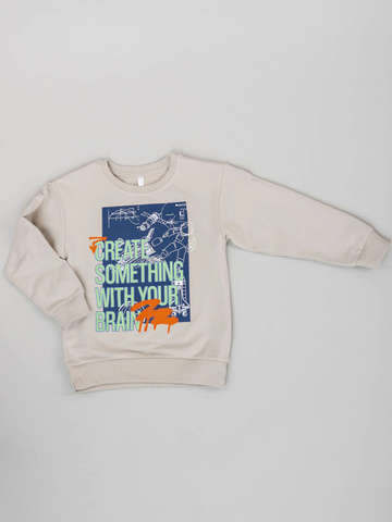 045_ОС25 Свитшот (пуловер) для мальчика, бежевый