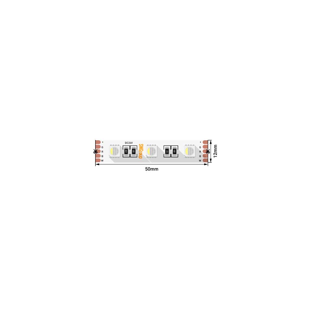 Светодиодная лента SWG Standard SWG560-24-19.2-RGB+WW-M 018658