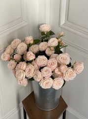 Пионовидная кустовая роза сорт БОМБАСТИК крупный бутон