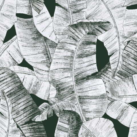 Ткани Черно-белые тропические листья. Ручной рисунок, графика - закажи на  #MarketShmarket.com- авторские изделия и ткани от лучших иллюстраторов