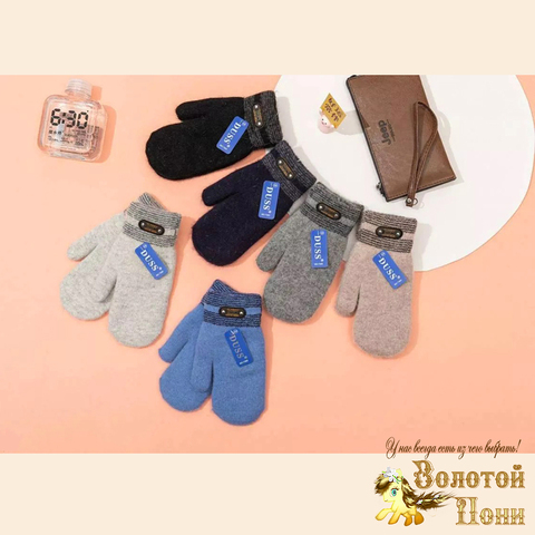 Варежки на меху мальчику (12-13) 240824-V7365