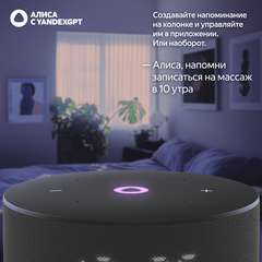 Умная колонка Яндекс Станция Мини 3 с Алисой на YaGPT,(Черный), модель YNDX-00027
