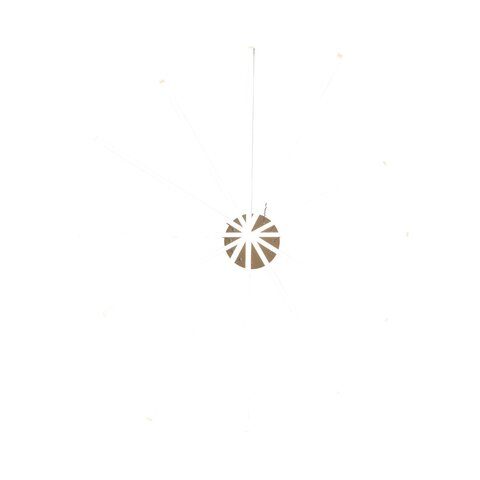 Светильник подвесной ST Luce Basoni SL394.223.06