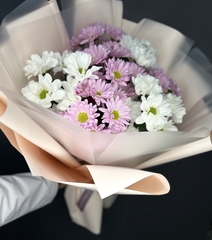 Хризантемы микс нежный