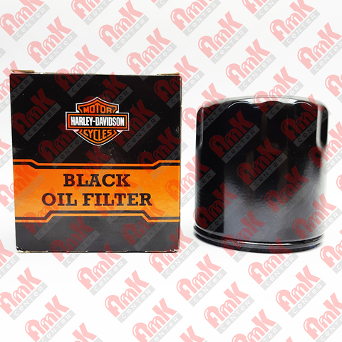Фильтр масляный OEM Harley Davidson Pan America, Sportster S 62700280