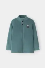 куртка  для мальчика  ФЛ 34025/1 ГР