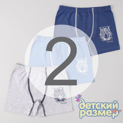 2 (3-4 года)
