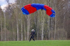 основной купол Crossfire 119