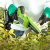Цепная мини пила аккумуляторная Greenworks GD24CSMNX, 24V, 15см, бесщеточная, c 1хАКБ 2Ач и ЗУ (2008707UA) — фото 4