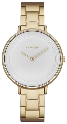 Наручные часы Skagen SKW2330 фото