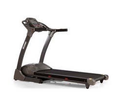 Электрическая беговая дорожка Larsen GLP 3205