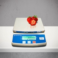 Весы фасовочные ВСП-1