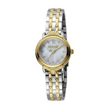 Roberto Cavalli by Franck Muller RV1L139M0041-1
