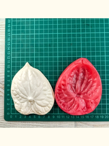 Молд+Вайнер 