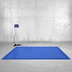 Весы врезные (ВСП4-В)