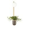 Настенный светильник Odeon Light Flower 4682/1WB