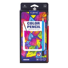 Карандаши цветные акварельные Yalong 12 цв., "Colour pencils" деревянные, трехгранные, заточенные, кисть, грифель 3.0 мм, картон. уп., европодвес