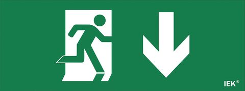 Этикетка самокл. 240х90мм 