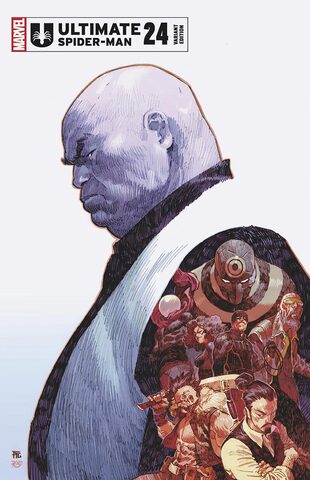 Ultimate Spider-Man Vol 2 #24 (Cover D)