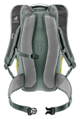 Рюкзак Deuter Race 12 Sprout/Ivy