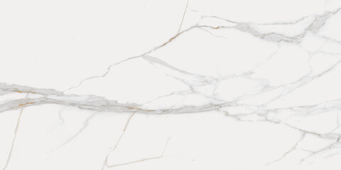 Staro Silk Soul White Carving 60x120