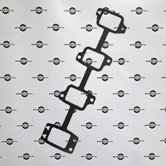 Прокладка впускного коллектора | 320/05550 | AOSS