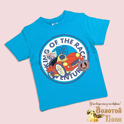 Футболка хлопок м (2-4) 260420-Y707