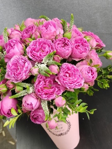 Коробка «Мистик»