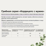 Экстракт гриба кордицепс с мумиё, Cordyceps, Risingstar, 60 капсул 2