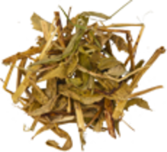 Купена лекарственная (трава , 50гр.) (Старослав)