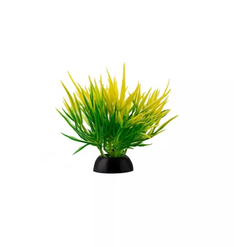 Растение зеленое с желтыми кончиками 4*5см