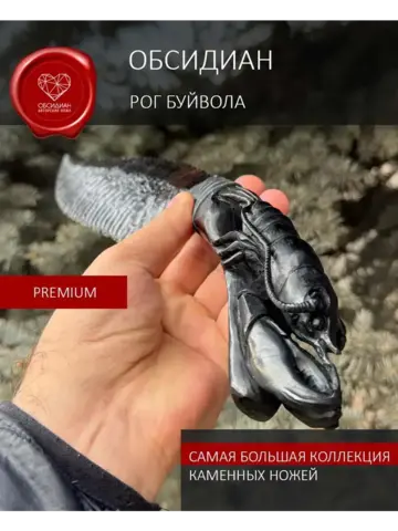 Лобстер Рог черного буйвола 37 см