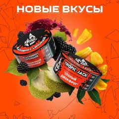 BlackBurn 100гр. BlackBerry Lemonade (Ежевичный Лимонад) (М)