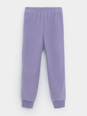 брюки  для девочки  ФЛ 40006-1/6 ГР