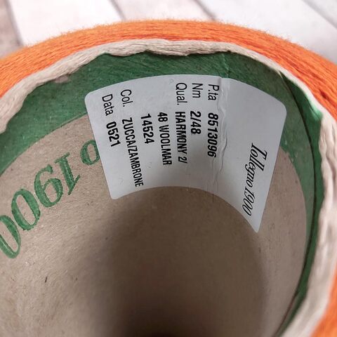 Меринос экстрафайн Tollegno 1900 Harmony 2/48 рыжий